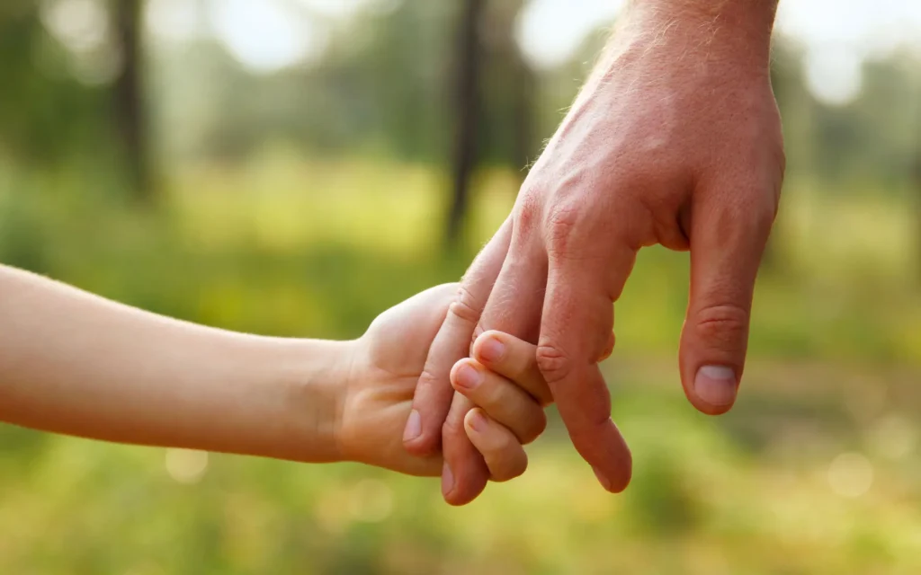 Child Custody Illinois