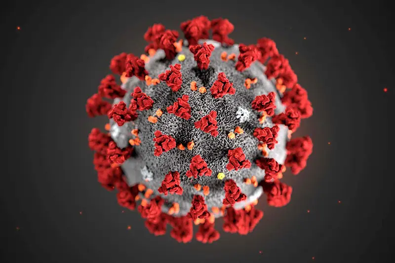 divorce during the novel coronavirus